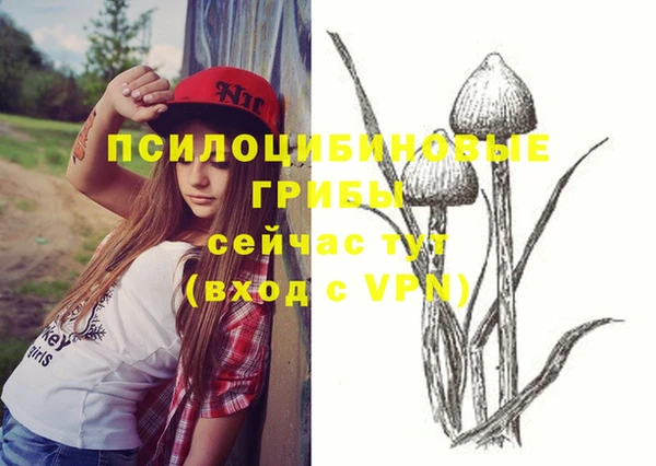 винт Переславль-Залесский